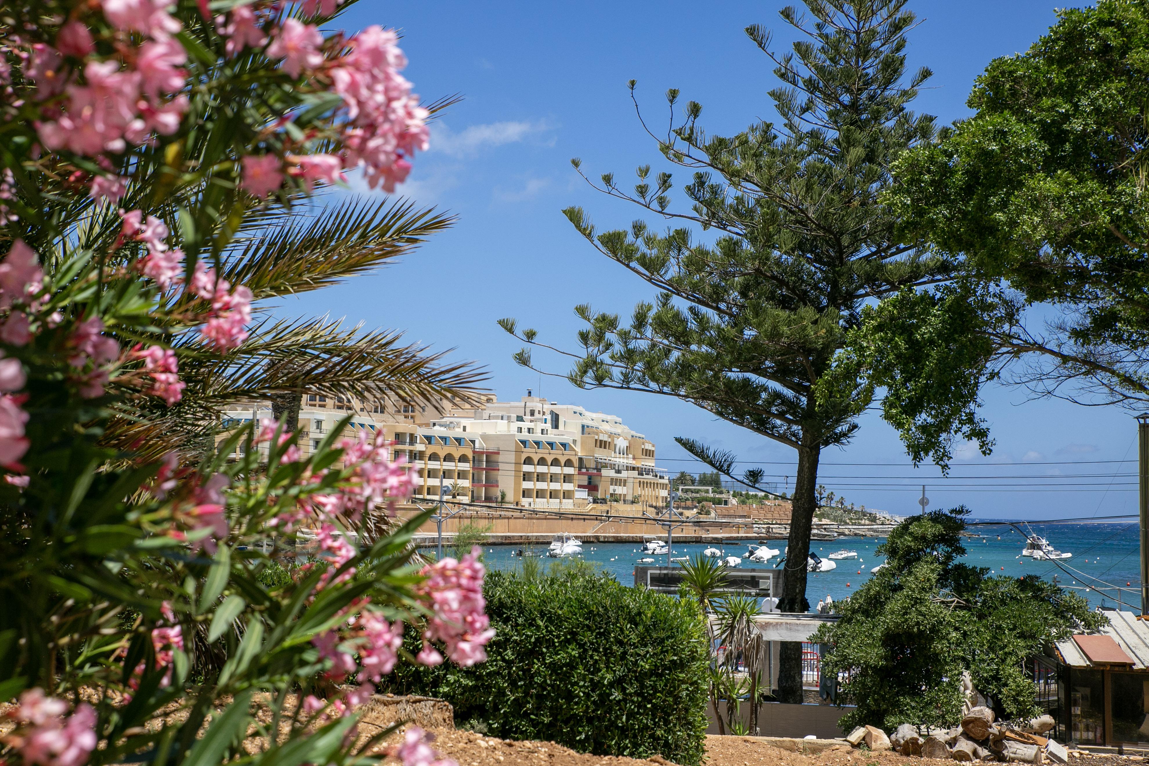 Beach Garden Hotel San Giuliano Esterno foto